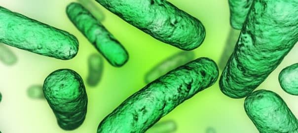 Protecting Your Gut: The Role of Targeted Support During Antibiotic Therapy