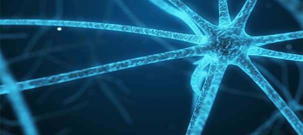 Type 3 Diabetes: Is Alzheimer's a Metabolic Disease?