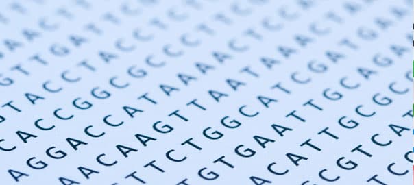 Nature’s Pharmacy: The Top Phytonutrients for a Strong Heart