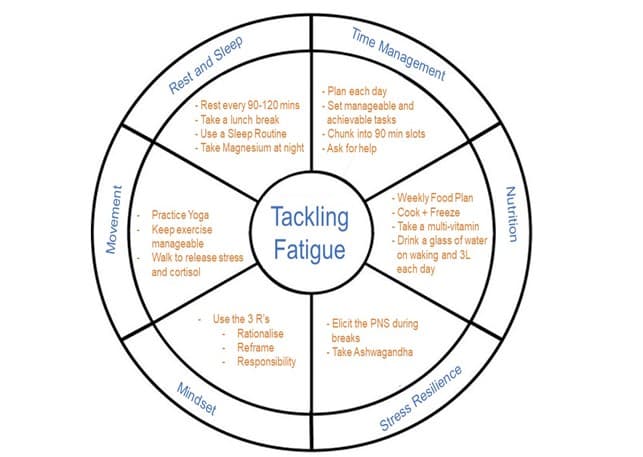 Mind & Muscle: Exploring the Synergistic Benefits of Ashwagandha and Bacopa