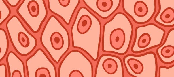 Brain Guard: The Surprising Role of B Vitamins in Deterring Alzheimer’s