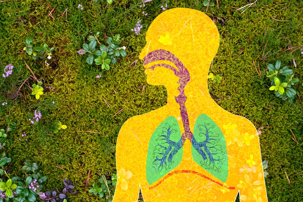 Breathing Easier: Understanding Asthma Risk Factors and Natural Nutritional Support