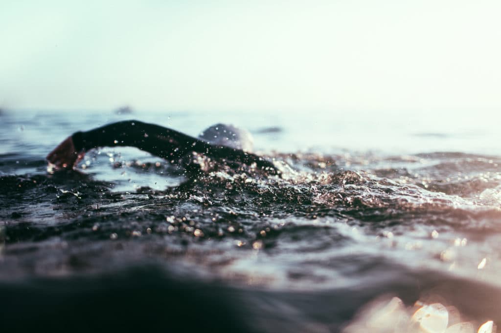 Neural Nutrition: Why 'Eating the Rainbow' is the Ultimate Brain Hack