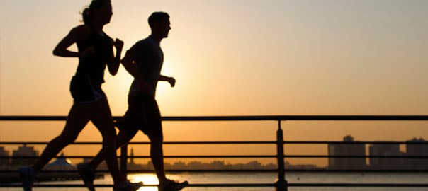 Supporting Every Sub: An Essential Guide to Joint Health and Nutrition