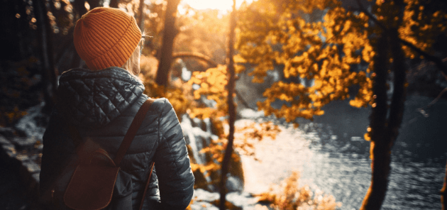 Breaking the Cycle: The Hidden Link Between Inflammation, Gut Health, and Mood