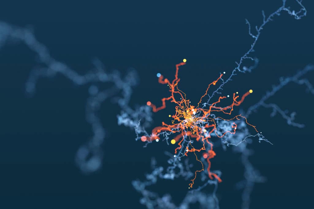  Brain Health: How to Protect Your Mind as You Age