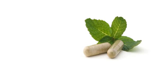 CoQ10 and Statins: The Missing Link in Heart Health