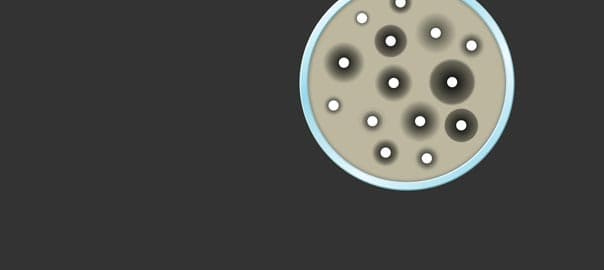 The Silent Threat: Understanding Antibiotic Resistance and Natural Immune Support