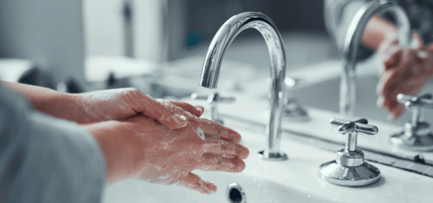 Your Immune System: The Army You Didn't Know You Had